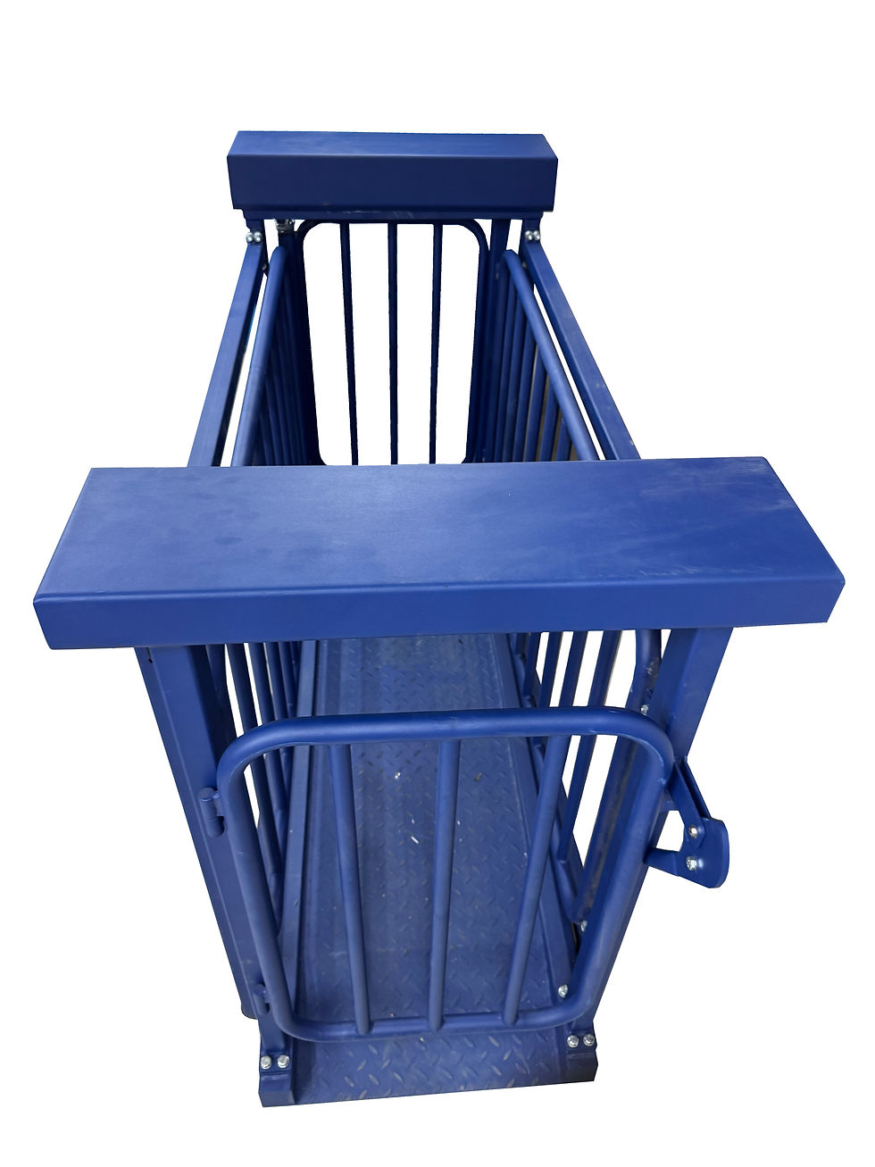 Pig Weighing Scale Front