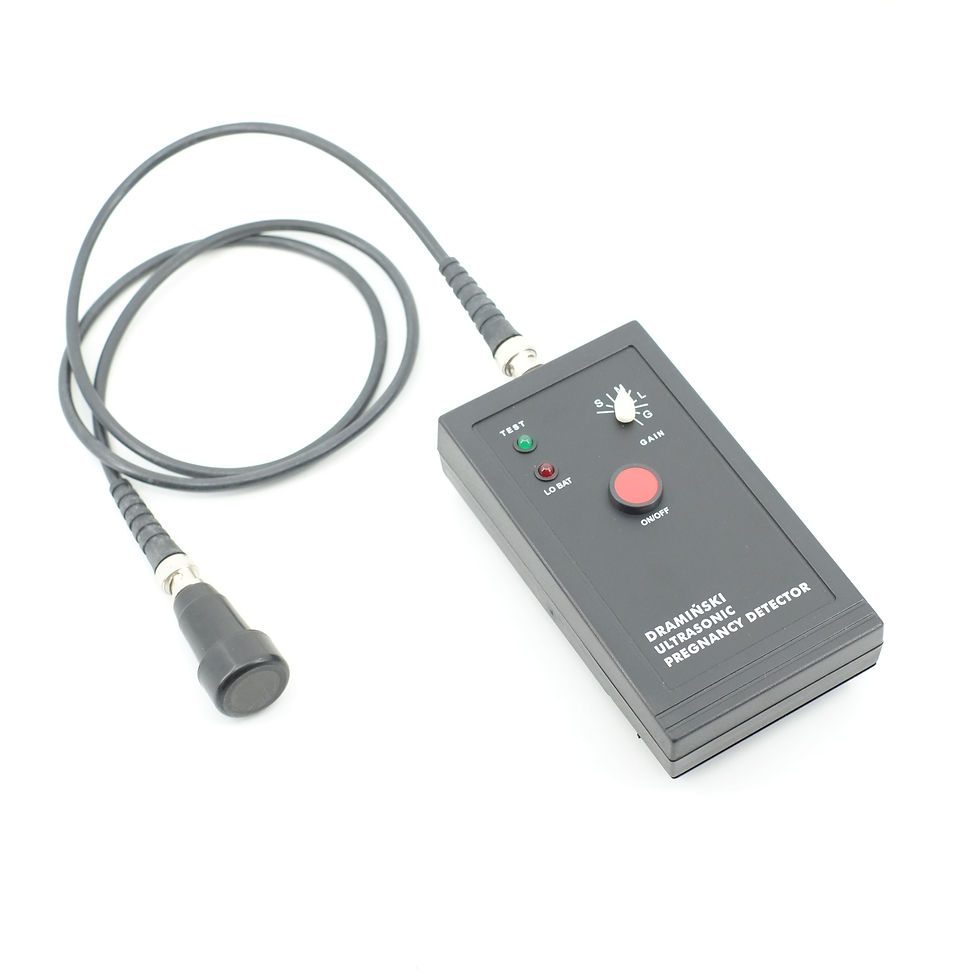 Dramanski Pregnancy Tester