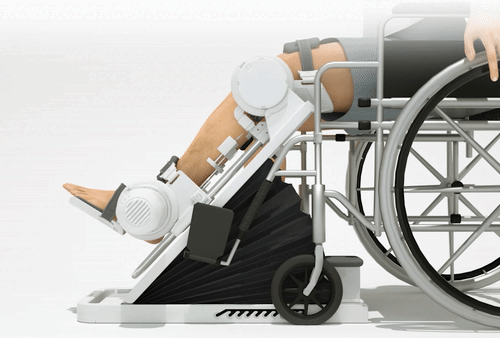 ankle1-web.gif
