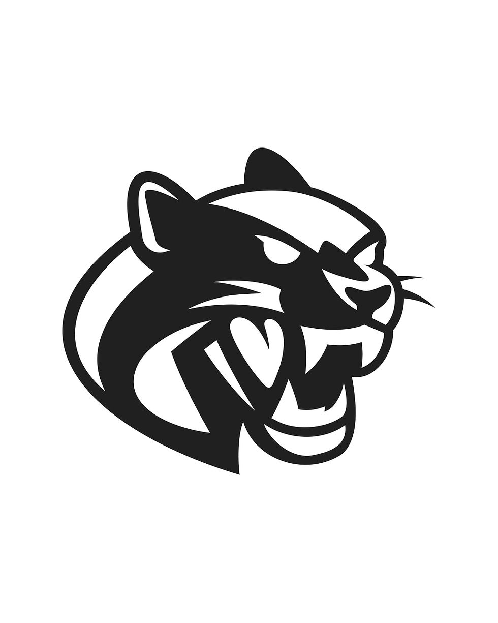 Dark Panther black and white panther symbol