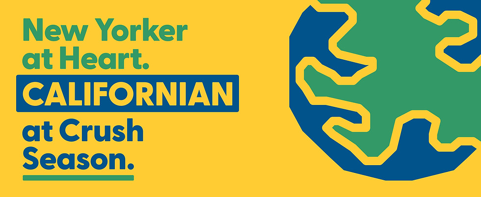 Visit California No Place Like California campaign graphic