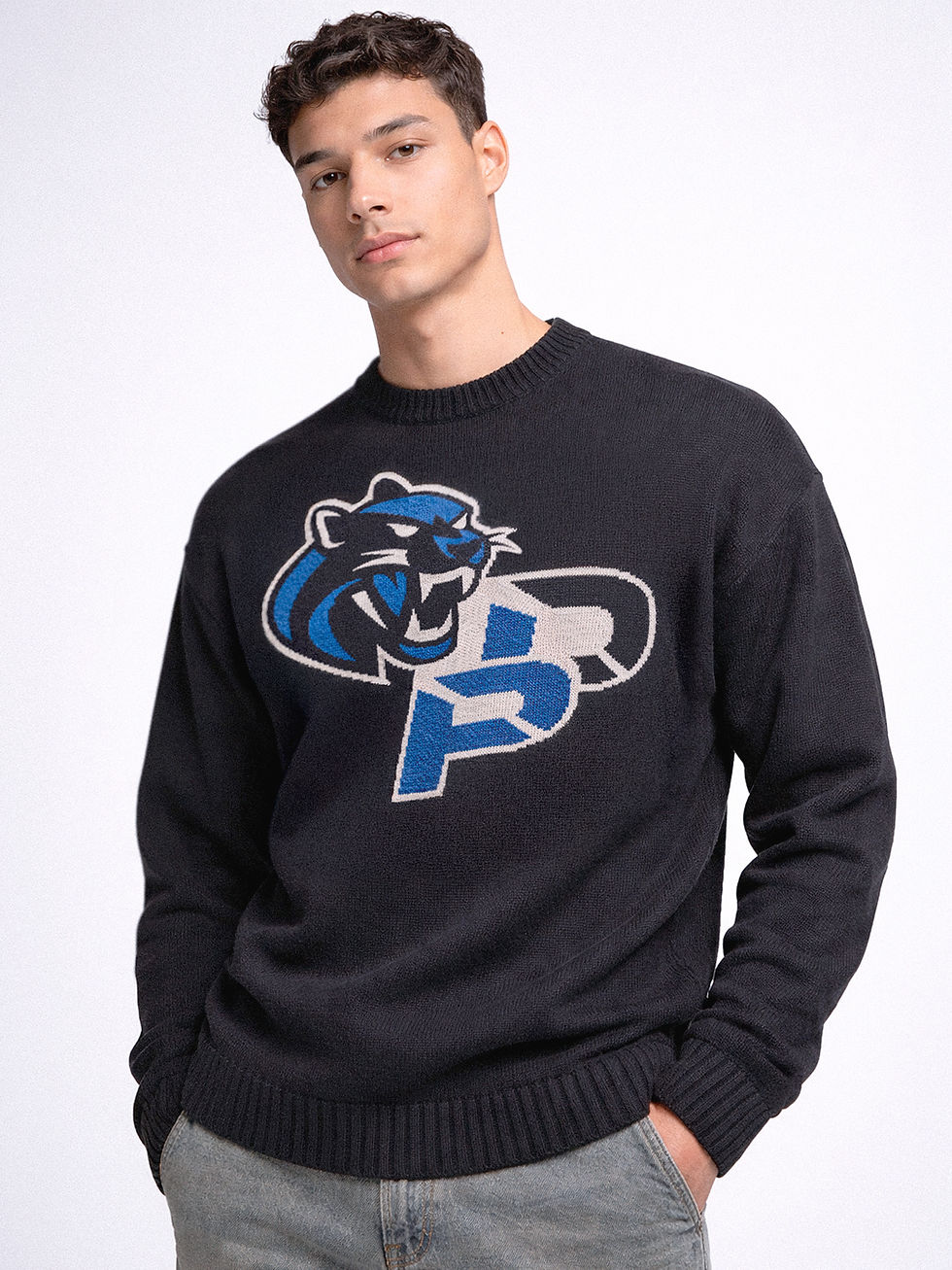 Dark Panther graphic applied to a black sweatshirt