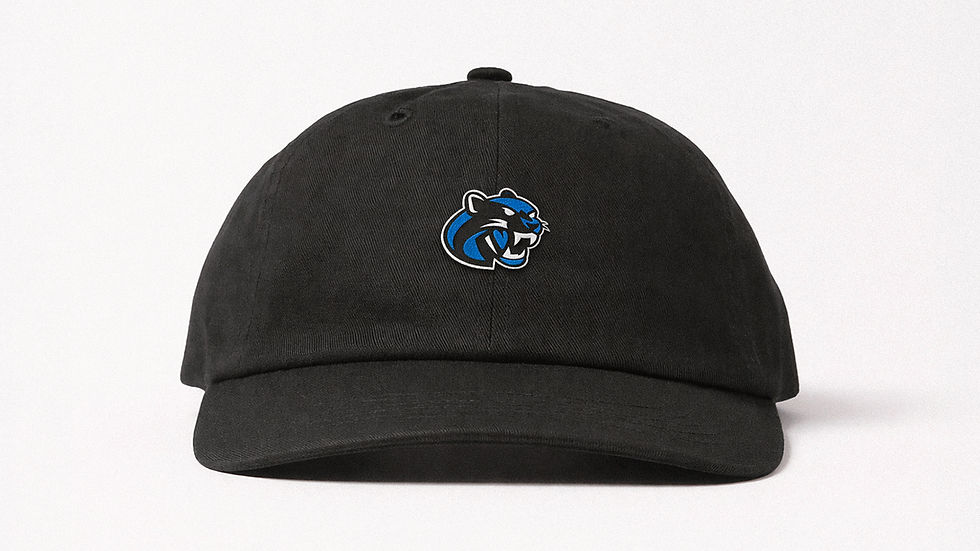 Dark Panther embroidered logo applied to a black cap