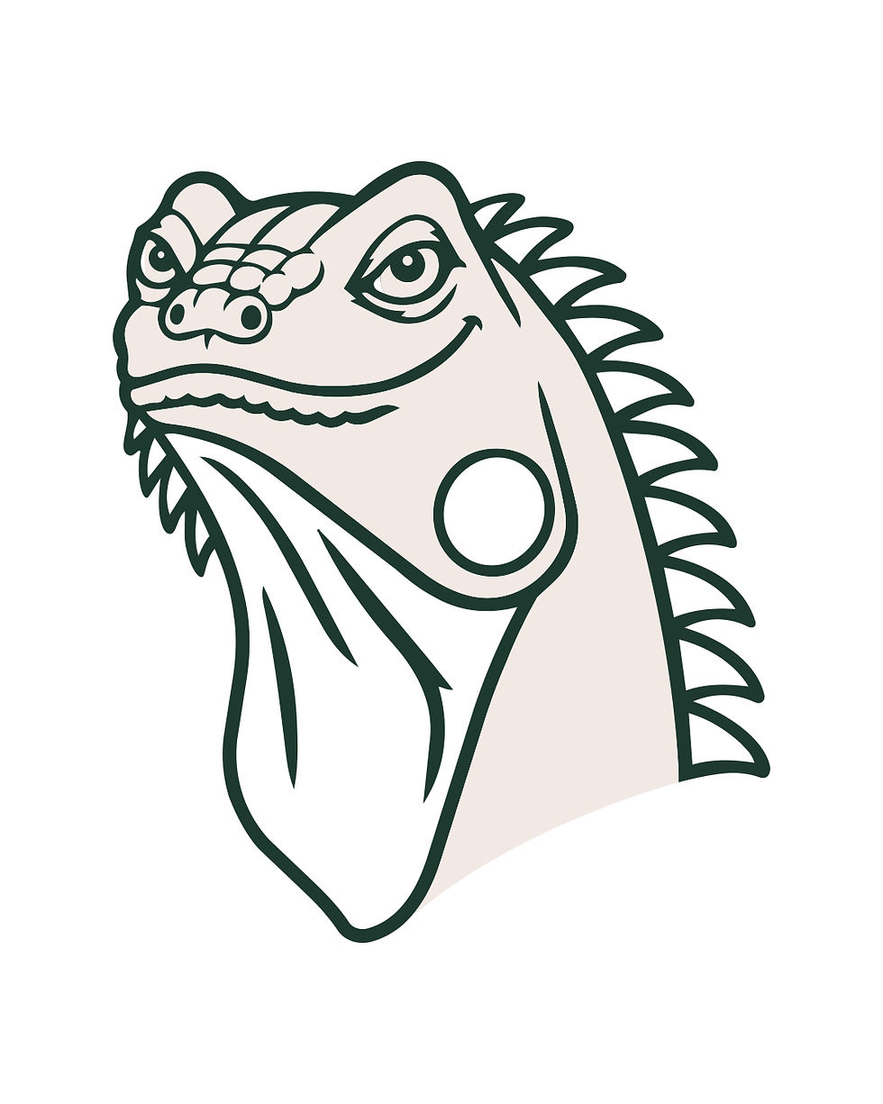 eantunez_La_Iguana_web_5.jpg