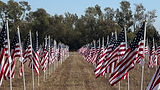 field-flags.jpg