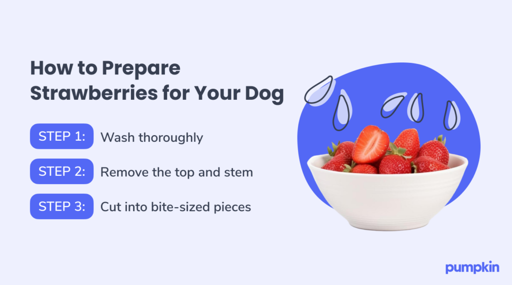 Infographic titled 'how to prepare strawberries for your dog'