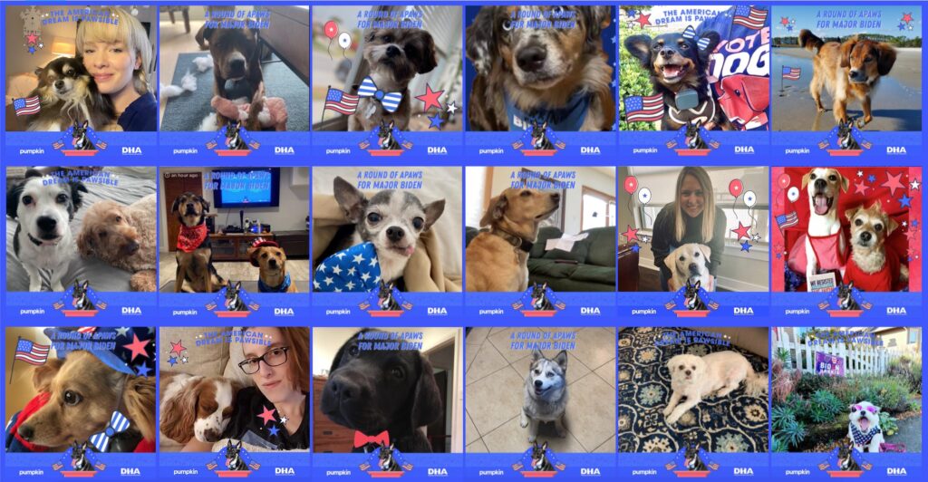 We had some "major" attendance. Over 4,000 people shared photos of their pets during the event. You can see all the photos here