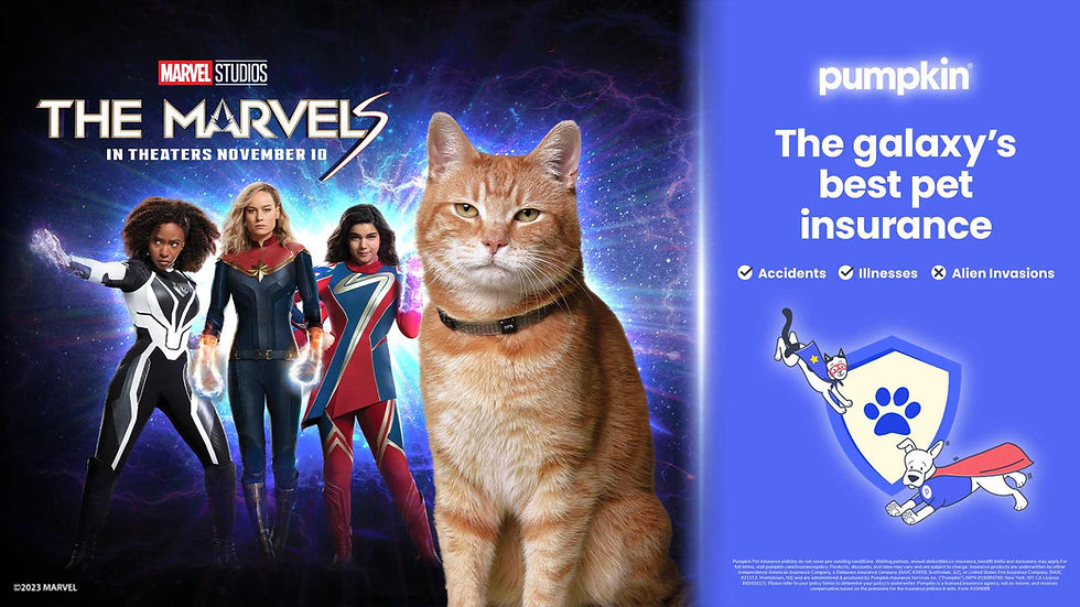 Pumpkin’s “The Galaxy's Best Pet Insurance” Campaign Wins 3 VETTY Awards®
