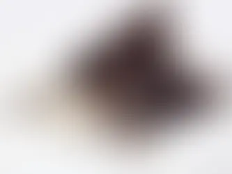 sick dog hiding under blankets