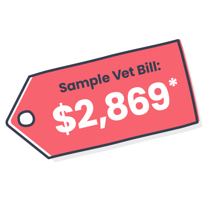 vet-bill-for-swallowed-object_common-puppy-accidents