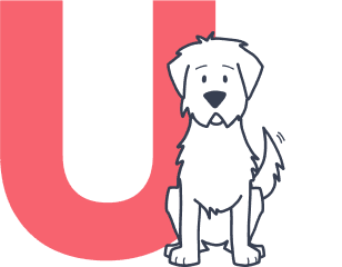 fluffy-dog-sitting-by-letter-u_pet-insurance-terms