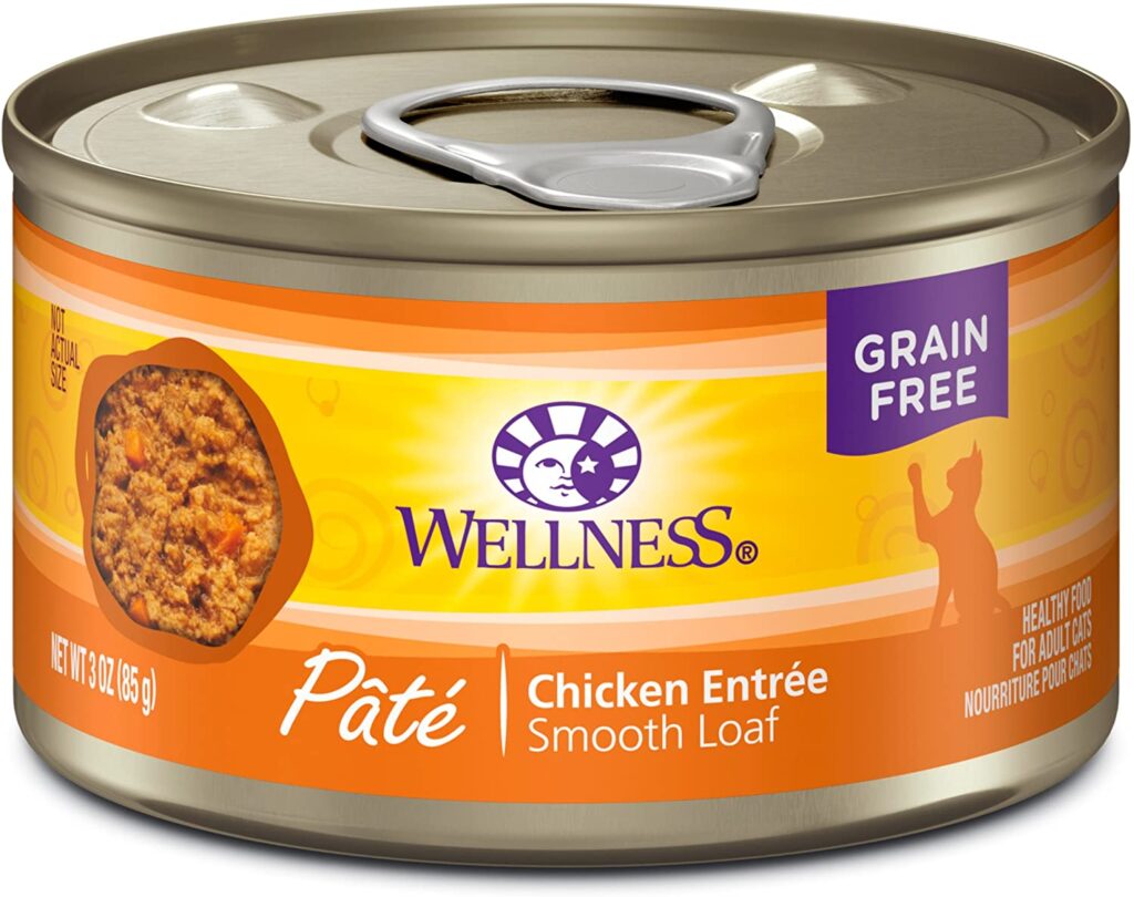 wellness-wet-cat-food_best-cat-food
