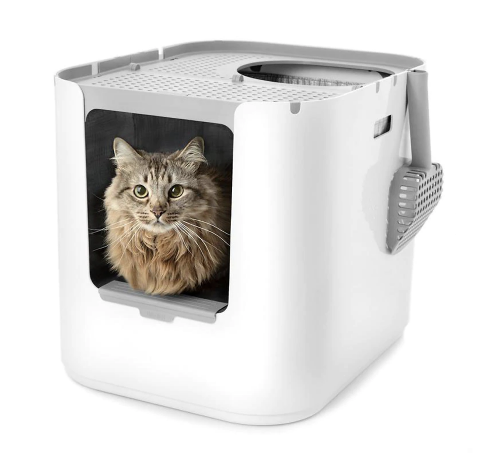 The Best Cat Litter Boxes of 2023