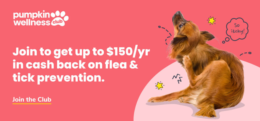 Join the Pumpkin Wellness Club to get up to $150/year in cash back on flea and tick prevention. Click the image to learn more.