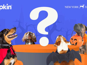 Dogs dressed up for Halloween looking up at a giant question mark. Text reads Pumpkin and New York Dog Parade
