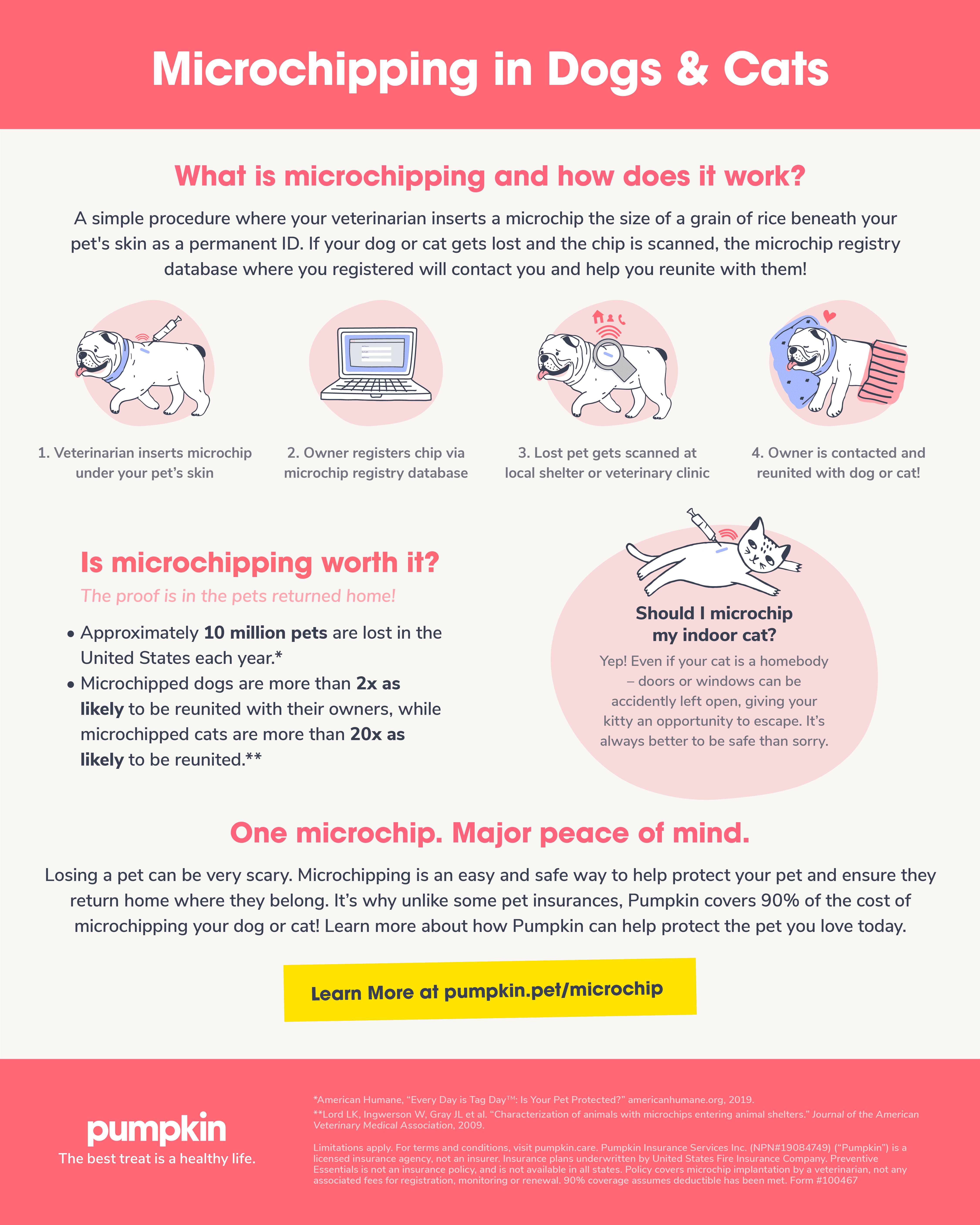 infographic with information on microchipping in dogs and cats