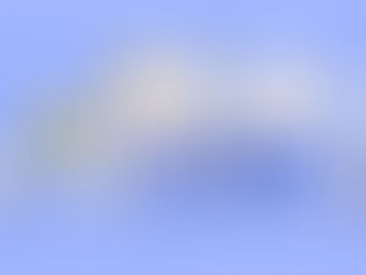 dogs and cats waiting for treatment at the vet office