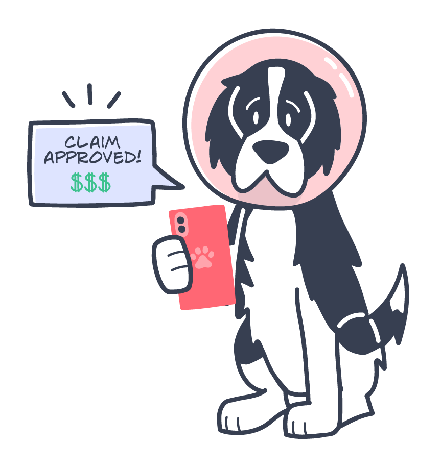 claim-being-approved_how-much-is-pet-insurance