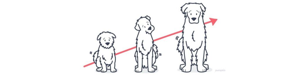 puppy-growing-up_puppy-developmental-stages