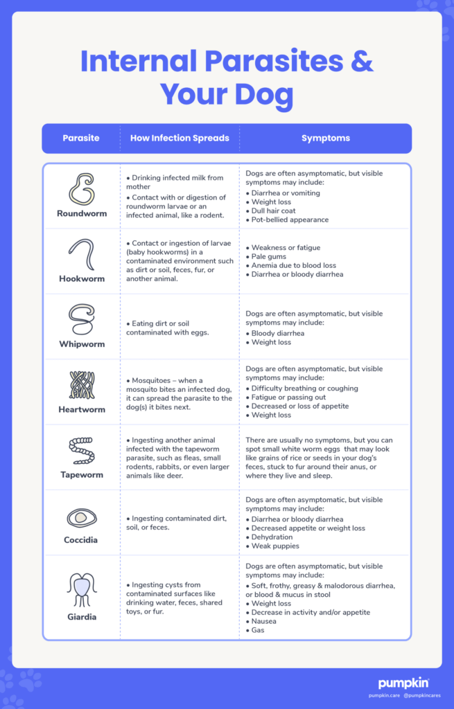 internal-dog-parasites-chart