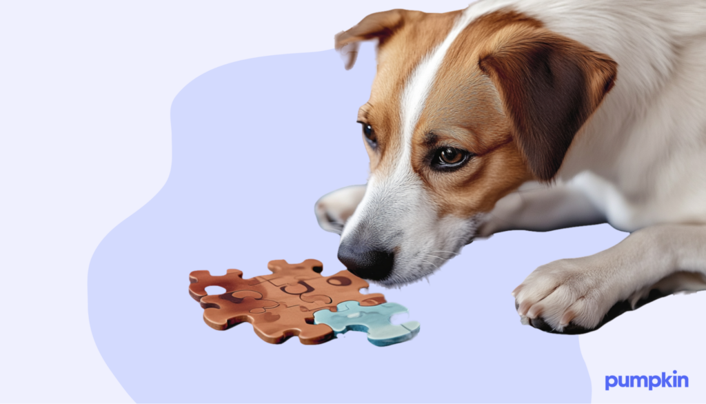 Image of a dog playing a puzzle game