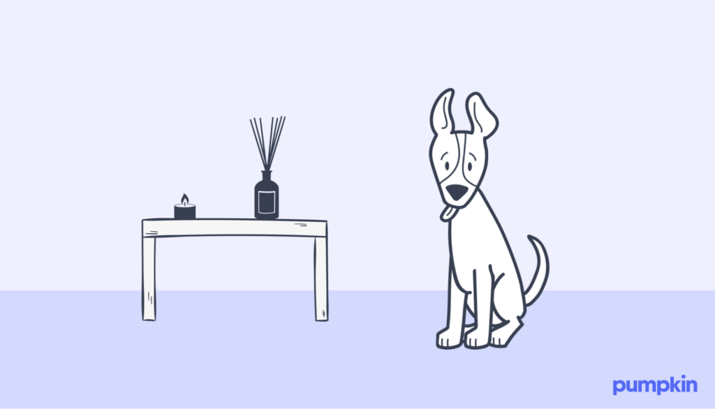 Essential oil reed diffusers near a dog