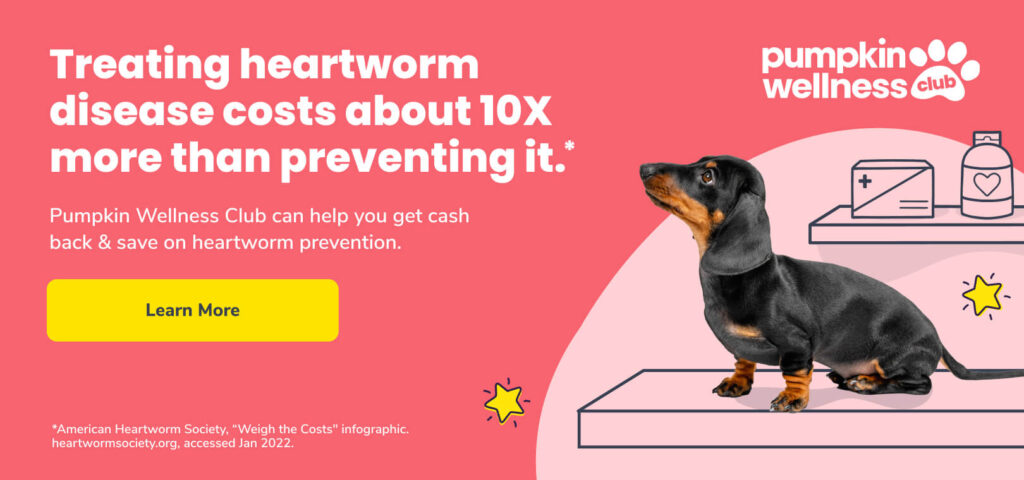 Treating heartworm disease costs about 10 times more than preventing it. Pumpkin Wellness Club can help you get cash back and save on heartworm prevention.
