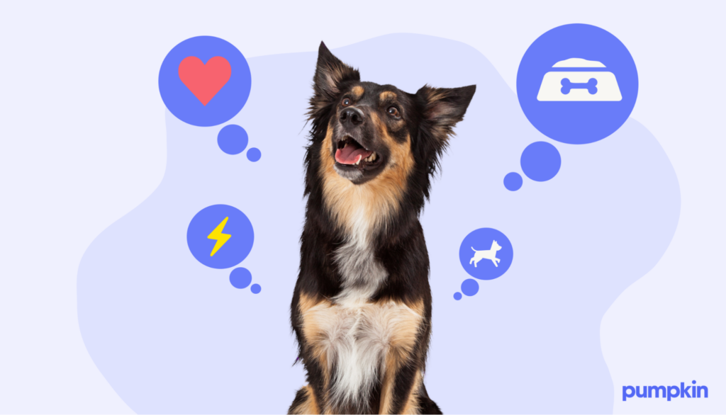 A barking dog surrounded by thought bubbles with symbols for various feelings and emotions