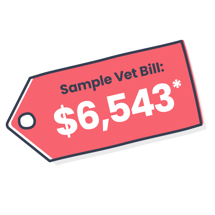 vet-bill-for-leg-fracture_common-puppy-accidents