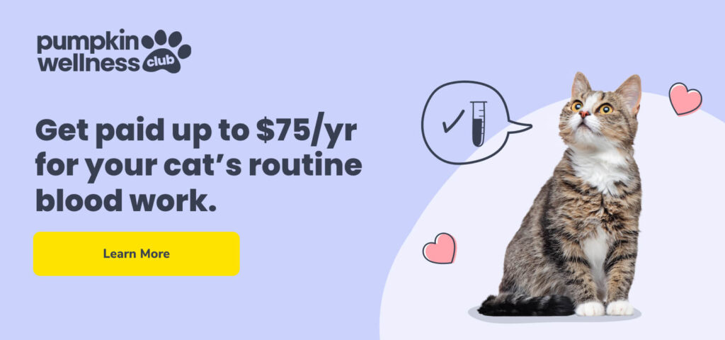 Get paid up to $75/yr for your cat's routine blood work with Pumpkin Wellness Club.