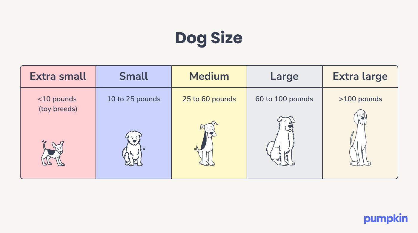 Infographic of the sizes of different dog breeds by weight