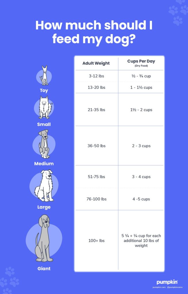 dog-feeding-chart_how-much-should-i-feed-my-dog