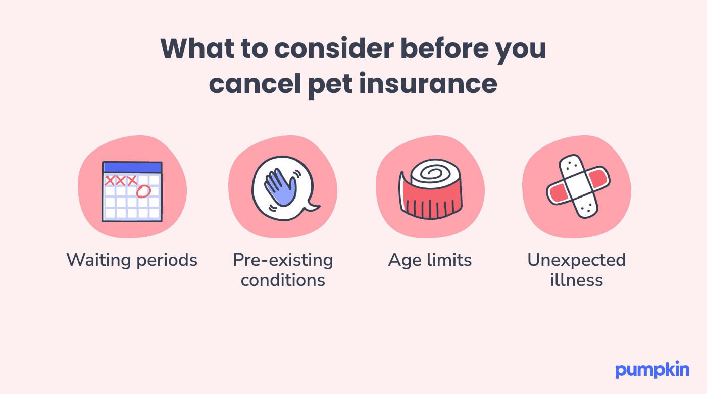 Four illustrated icons of a calendar, speech bubble, tape measure, and band aids on a pink background