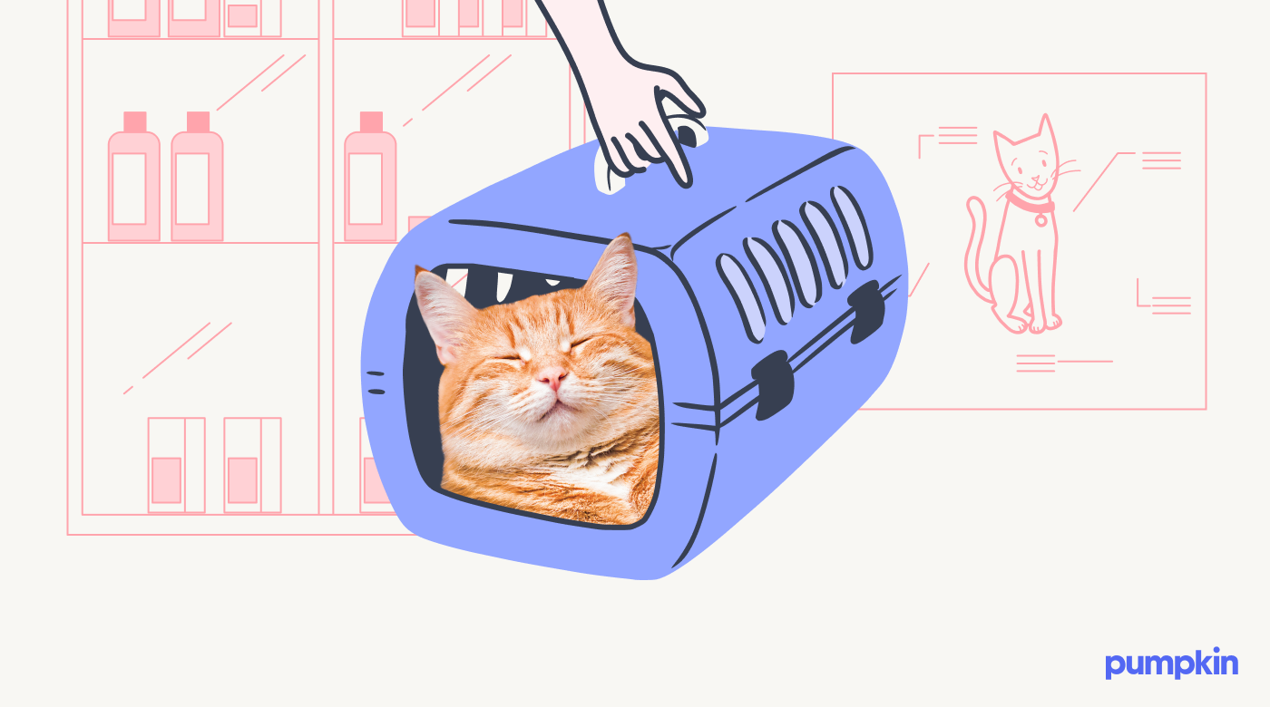 An orange cat sleeps peacefully in their vet carrier.