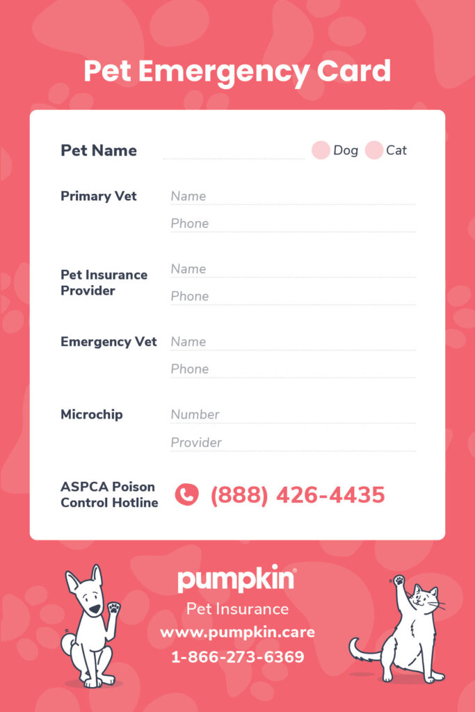 printable pet emergency card from Pumpkin Pet Insurance with sections to fill out your pets name, primary vet, insurance provider, emergency vet contact info, microchip number and the ASPCA Poison Control Line 888-426-4435