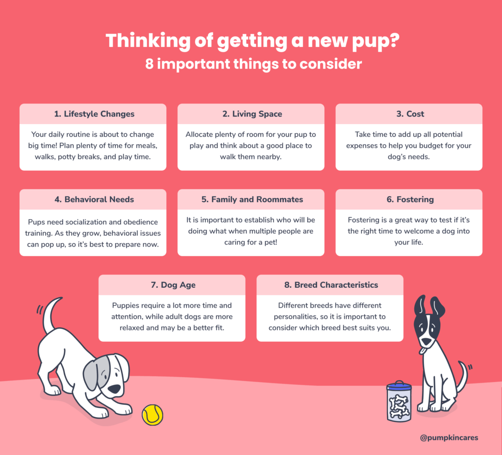 Chart-of-8-things-to-consider-before-getting-a-dog