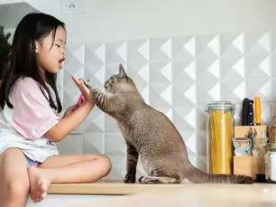 cat playing with a small child