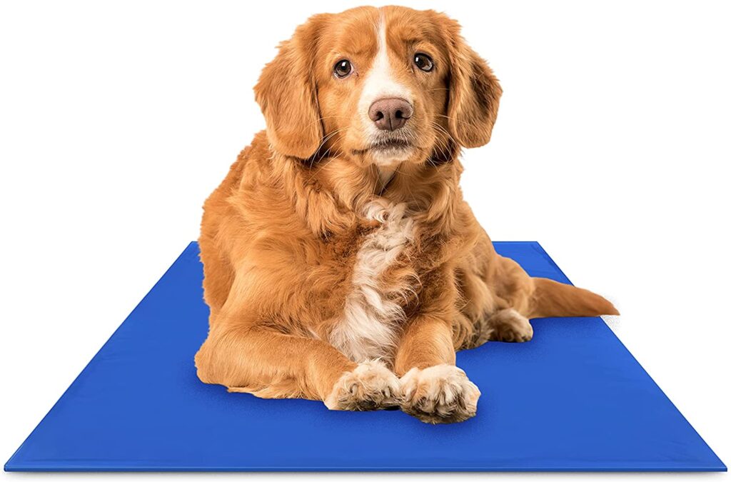 chillz-cooling-mat_summer-essentials-for-dogs