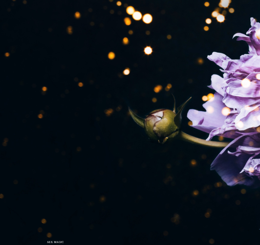Olive Green Floral Photo Twitter Header (2).png