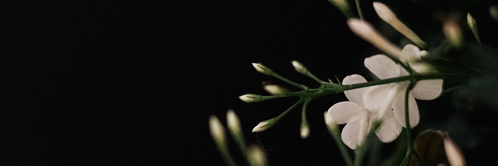 Olive Green Floral Photo Twitter Header (4).png