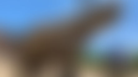 NREL Innovation and Entrepreneurship Center Camp - SmartGrids and Baby Rhinos