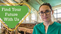 APHIS Extends Application Deadline for the Saul T. Wilson Jr. Internship Program