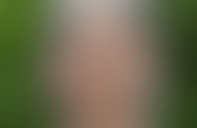 NCAR Scientists, UCAR Program Honored by AGU & AMS