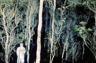 woods ghost.jpg