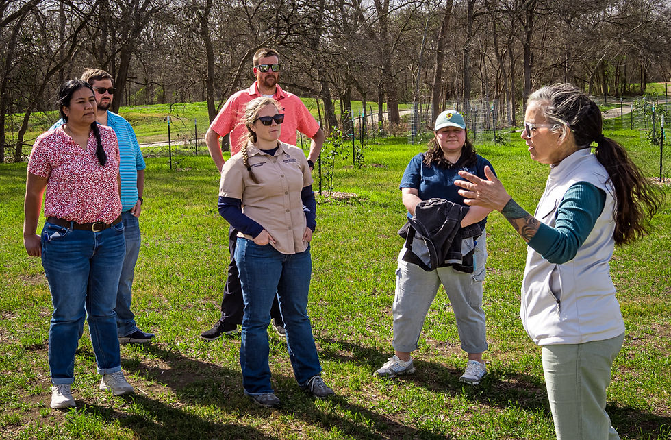 How Trees Nourish Us: An Immersive Tour of Arboretum San Antonio