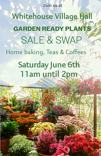 Plant Sale 2026-05-04.png
