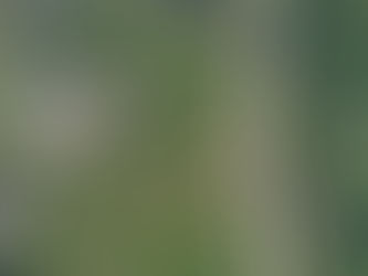 Getting Outside: Connecting Community to the Outdoors