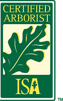 ISA Certification