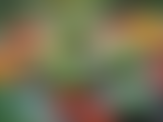 Water-Saving Landscaping with Succulent Plants in San Diego