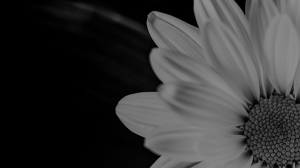 slider_bg_2.jpg